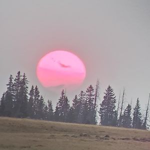 Meet your Posher, Mary jane